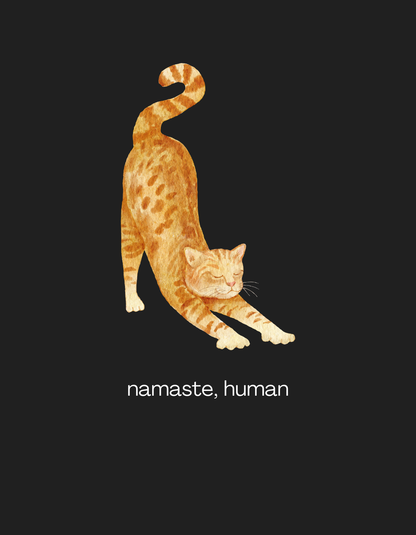 Namaste, Human - Women's Black Printed T-shirt